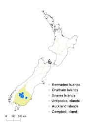Veronica trifida distribution map based on databased records at AK, CHR & WELT.
 Image: K.Boardman © Landcare Research 2022 CC-BY 4.0